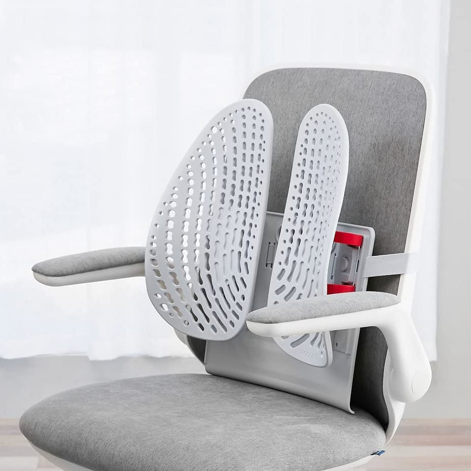 Online Shopping from Anywhere back support for chair at work