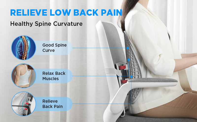 Lumbar Cushion Sitting Chair Lower Back Support Lumbar Back Posture  Corrector Low Back Pain Relief for